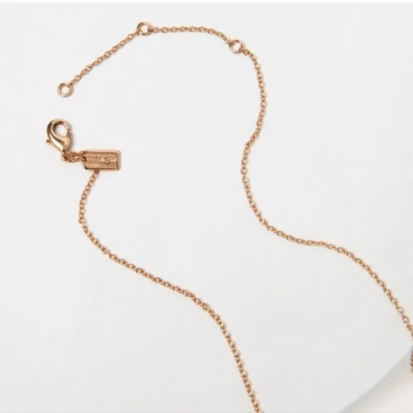 Coach Open Circle Necklace & Tea Rose Stud Earrings Set - Picture 8 of 15